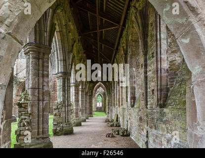 Les ruines de l'abbaye de Tintern, Wye Valley, près de Chepstow, Monmouthshire, Wales, UK Banque D'Images