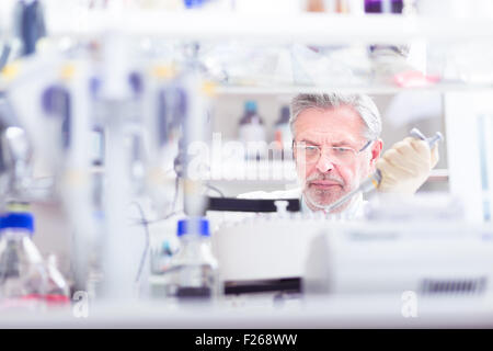 Chercheur scientifique la recherche en laboratoire. Banque D'Images