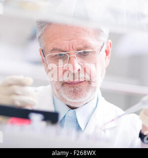 Chercheur scientifique la recherche en laboratoire. Banque D'Images