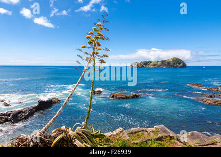 Voir l'île volcanique de Sao Miguel, Açores Banque D'Images