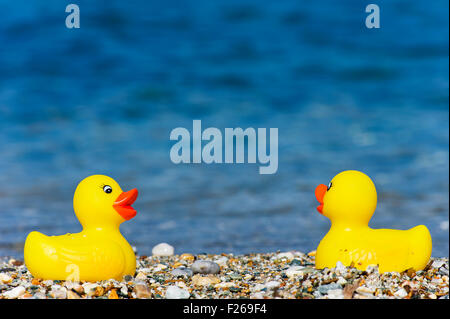 Deux canards en caoutchouc sur Aegean beach Banque D'Images