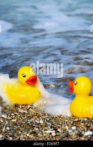 Deux canards en caoutchouc sur Aegean beach Banque D'Images