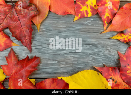 Les feuilles d'automne sur fond de bois with copy space Banque D'Images