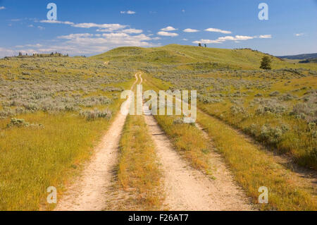 Ranch Road off North Star Rd, Okanogan County, Washington Banque D'Images