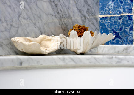 Plat de coquilles et d'une éponge, d'une salle de bains Banque D'Images