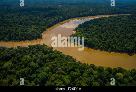 Rainforest aerial, embouchure de la rivière La rivière Yavari Yavari-Mirin la saisie et la forêt primaire, Région de l'Amazonie, Pérou Banque D'Images