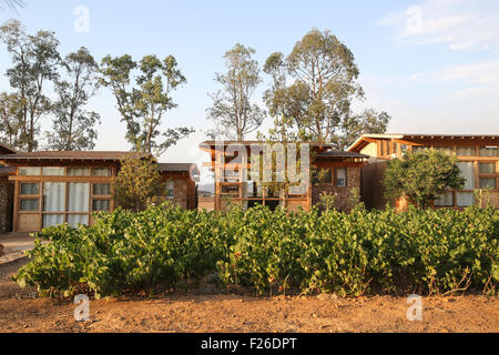 Une vue sur la Valle de Guadalupe de Mexico sur la Ruta del Vino. Casa Maria Cristina. Banque D'Images