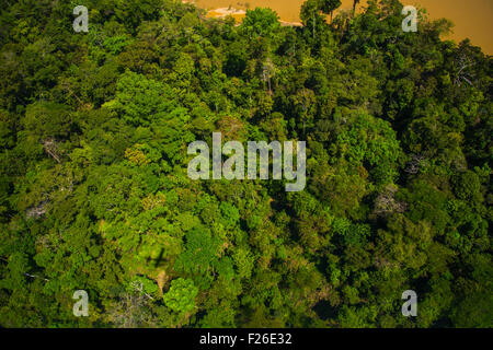 Antenne de forêt vierge, forêt et rivière Yavari Banque D'Images