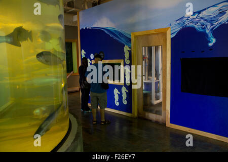 Les visiteurs à explorer les merveilles de la mer à l'Aquarium de Huntsman Marine Science Centre, un organisme sans but lucratif qui étudie la vie de la mer. Banque D'Images