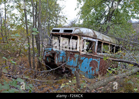 Dans un vieux bus vert de la forêt. Close up Banque D'Images