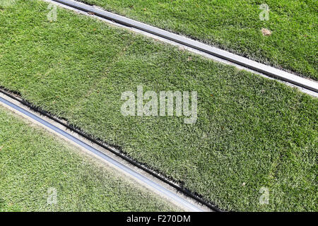 L'environnement rue voiture rails du tramway sur l'herbe. Banque D'Images