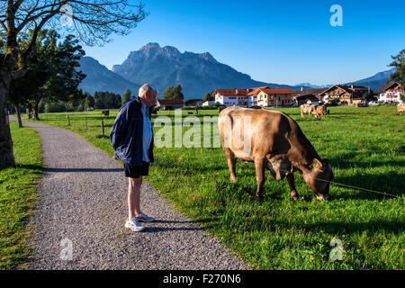 La Bavière en Allemagne. Un homme âgé regarde la vache de pâturage dans la zone. Maisons rurales avec vue bavarois, montagnes et ciel bleu Banque D'Images