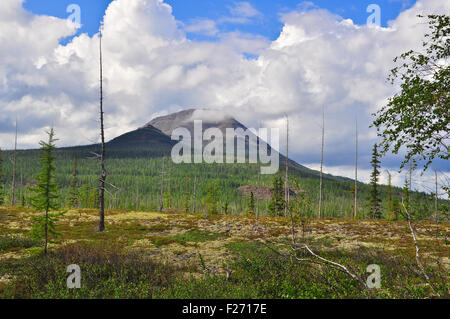 La toundra dans les contreforts de la plateau de Putorana. Le paysage de la toundra, le plateau de Putorana, Sibérie, Russie. Banque D'Images