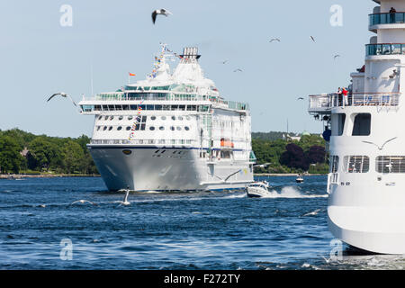 Vol de mouettes sur des bateaux de croisière en mer, Stockholm, Suède Banque D'Images