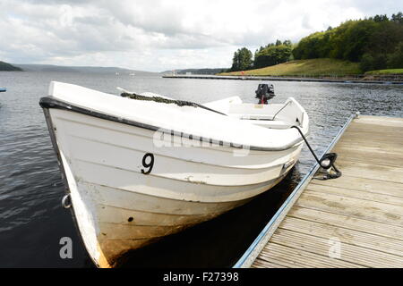 Une VUE IMPRENABLE SUR LEAPLISH WATERPARK, LEAPLISH, PRÈS DE NORTHUMBERLAND, KIELDER Banque D'Images