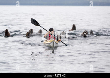 Garçon avec kayak de mer de Steller, Frederick, en Alaska. Banque D'Images