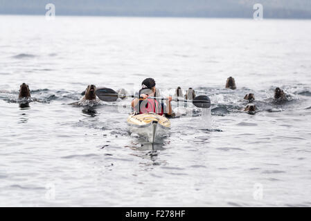 Garçon avec kayak de mer de Steller, Frederick, en Alaska. Banque D'Images