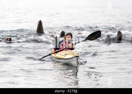 Garçon avec kayak de mer de Steller, Frederick, en Alaska. Banque D'Images