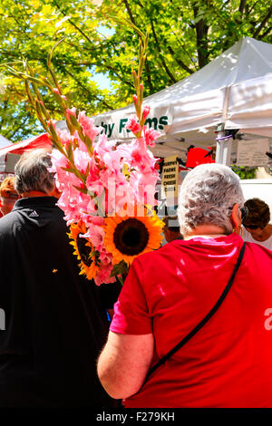 Femme transportant Gladioli et le tournesol, elle a acheté au marché de producteurs le samedi dans la région de Madison WI Banque D'Images