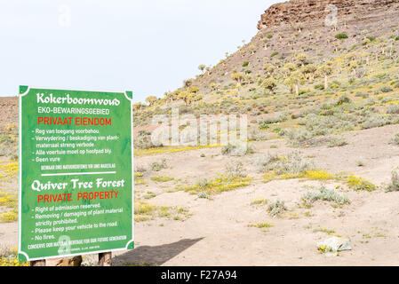 17 Dysart Road, AFRIQUE DU SUD - le 11 août 2015 : la forêt Quiver Tree 17 Dysart Road à se composent de milliers de d'arbres carquois (Aloe dicho Banque D'Images