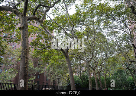 Stuyvesant Town Appartement et l'aménagement paysager à New York City, New York. Banque D'Images