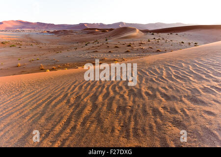 Les vagues de sable de l'Hidden Vlei dans la partie sud du désert du Namib, dans le parc national du Namib Naukluft Namib Banque D'Images