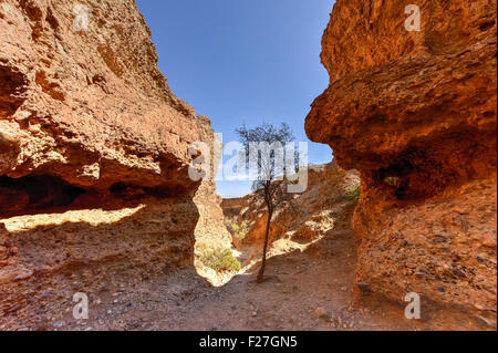 Le Canyon de Sesriem près de Sossusvlei en Namibie. La rivière Tsauchab a façonné le Canyon sur des millions d'années et c'est l'un des Banque D'Images