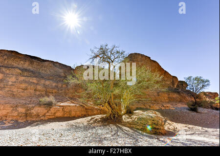 Le Canyon de Sesriem près de Sossusvlei en Namibie. La rivière Tsauchab a façonné le Canyon sur des millions d'années et c'est l'un des Banque D'Images