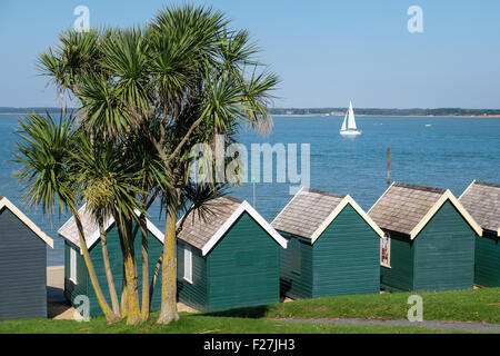 Un voilier navigue dans le Solent passé les cabanes de plage de grondin rouge sur l'île de Wight Banque D'Images