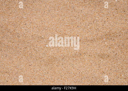 Sur une plage de sable Banque D'Images