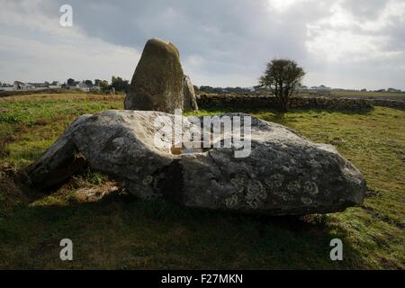 Les trois menhirs préhistoriques massives, l'un tombé, des Trois Menhirs Duchamp. Plouharnel, Bretagne, France Banque D'Images