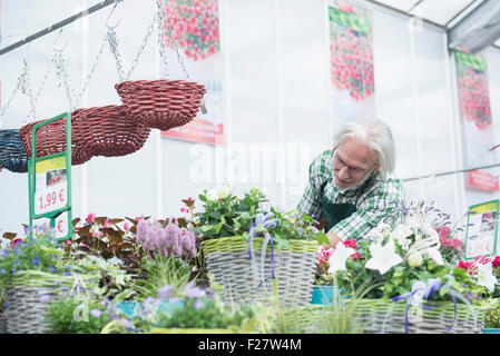 Vendeur vendre plante en pot en serre, Augsbourg, Bavière, Allemagne Banque D'Images