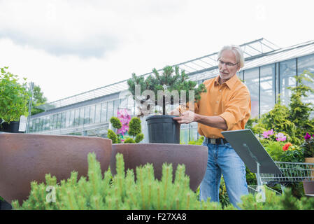 Homme mûr acheter plante en pot d'une pépinière, Augsbourg, Bavière, Allemagne Banque D'Images