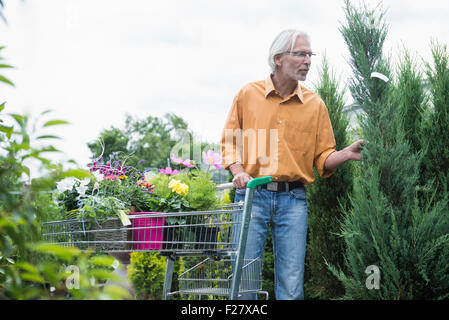 Homme mûr choisir plante de pépinière, Augsbourg, Bavière, Allemagne Banque D'Images