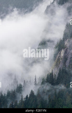 Pente de montagne enveloppée de nuages dans la forêt nationale de Tongass en Alaska. Banque D'Images
