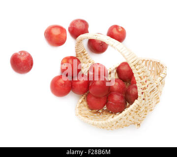 Panier en osier rempli de prunes victoria rouge multiples sur l'isolé sur fond blanc Banque D'Images