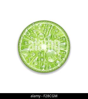 LIME juteux. Illustration vecteur extrêmement détaillé, réalisé avec l'amour pour les détails. Illustration de Vecteur