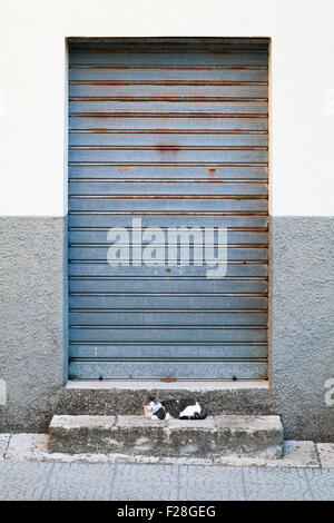 Porte fermée avec volet roulant en acier, texture de fond Banque D'Images