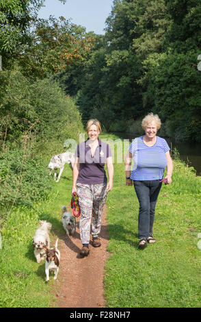 Deux femmes promènent leurs chiens sur un canal de halage, England, UK Banque D'Images