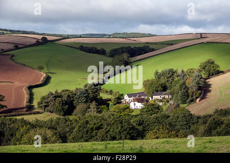 S/N et de chaume cottage dans le matériel roulant et les champs de devon devon près de Dunsford,banques,Teign Valley,Dunsford, automne, teign, Devon, Hill, Banque D'Images