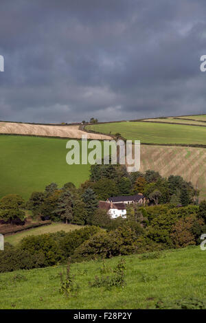 S/N et de chaume cottage dans le matériel roulant et les champs de devon devon près de Dunsford,banques,Teign Valley,Dunsford, automne, teign, Devon, Hill, Banque D'Images