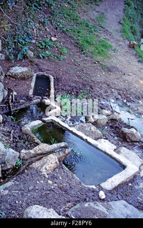 L'ancienne citerne creusée dans la pierre, découvert dans les bois, Yeni Erenkoy, péninsule Karpaz, Chypre du Nord Banque D'Images