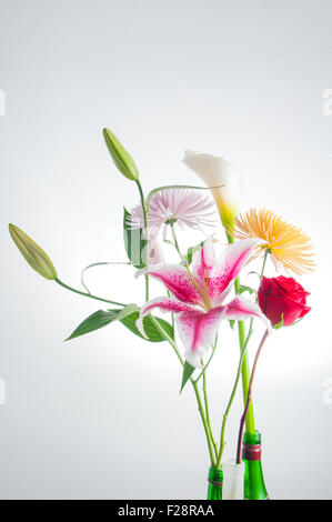 Détail de fleurs de printemps bouquet isolated over white Banque D'Images