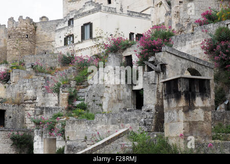 La prolifération de mauvaises herbes et fleurs roses en ruines de Sassi di Matera. Banque D'Images