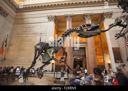 Au milieu des visiteurs un Barosaurus protège son jeune attaquant d'un Allosaurus dans le hall d'entrée à l'American Museum of Natural History à Manhattan. Banque D'Images