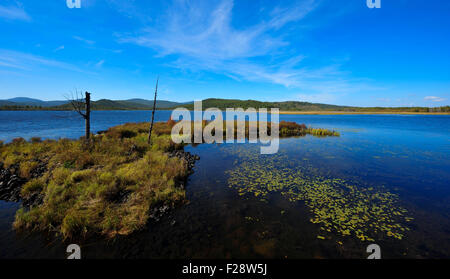 Beijing, Chine. 13 Sep, 2015. Photo prise le 13 septembre 2015 montre décor de l'automne de Dujuan dans le lac d'Arxan Hinggan, Ligue du nord de la Chine, région autonome de Mongolie intérieure. © Lian Zhen/Xinhua/Alamy Live News Banque D'Images