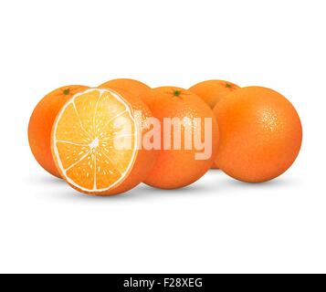 Oranges Illustration de Vecteur