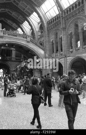 Le noir et blanc central animé de hall de la Natural History Museum, Londres, Angleterre. Grand squelette de dinosaure remplit l'espace Banque D'Images