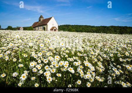 L'église saxonne dans un champ de marguerites sauvages en été Banque D'Images