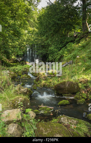 Haw échelle Force, Hebden, Yorkshire du Nord. Banque D'Images